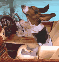Dave Hounddriver
